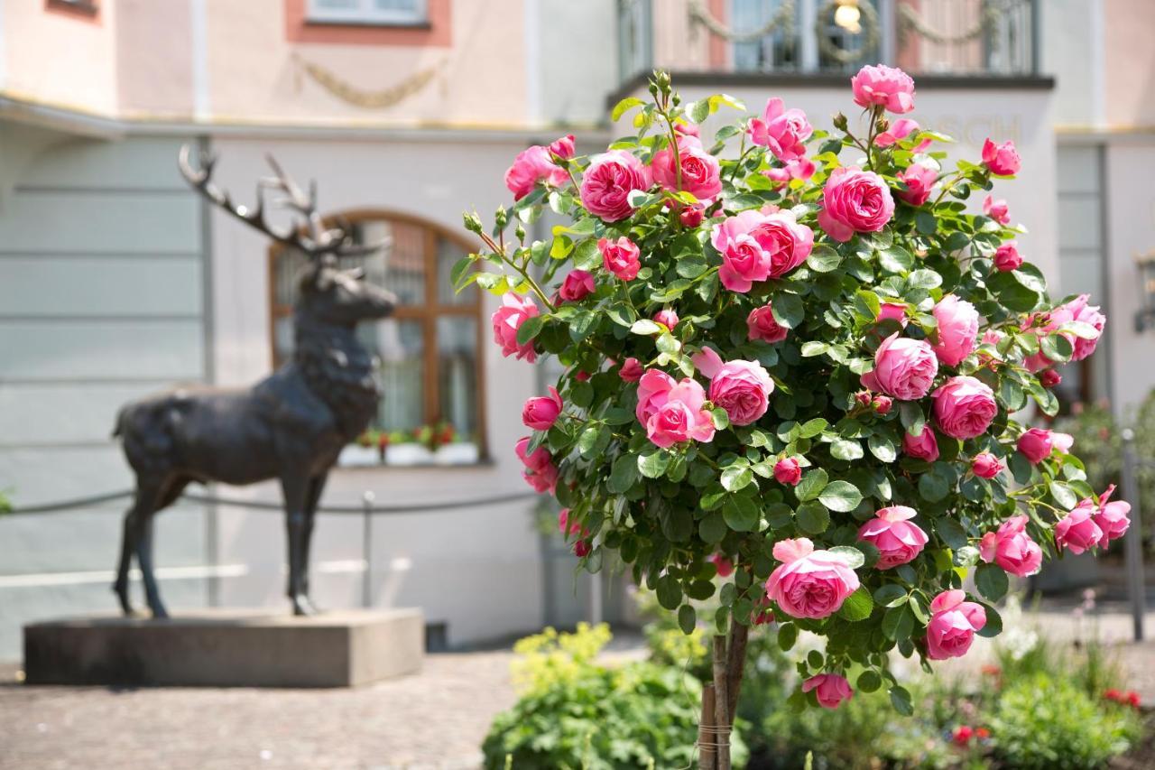 Hotel Hirsch Füssen Eksteriør bilde